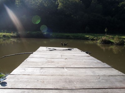 Holiday house Romantische alte Mühle-pets welcome - Environment photo 21