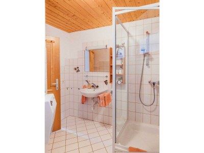 Apartment Appartement/Fewo, Dusche, WC, 1 Schlafraum - Features photo 38
