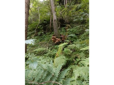 Apartment Appartement 2 - Outdoor photo 12