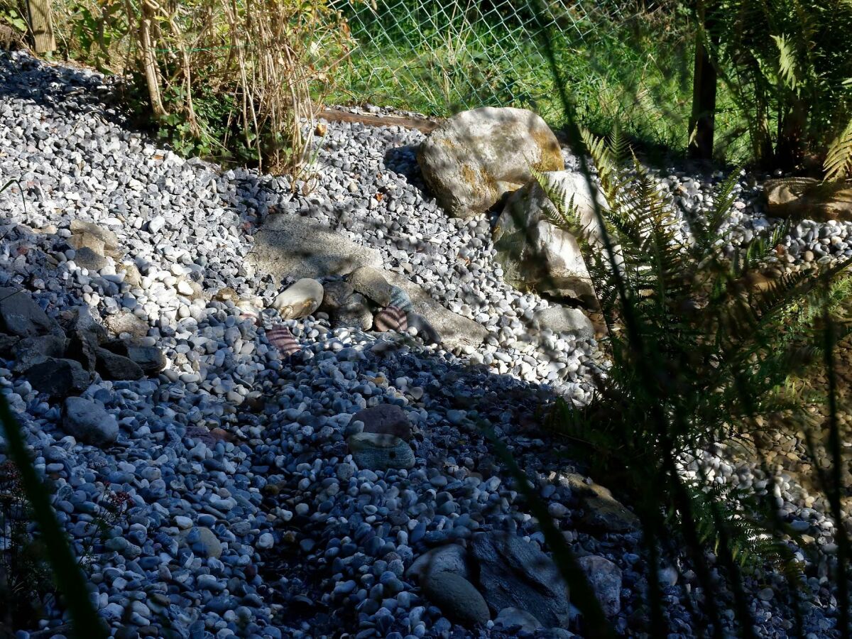 Apartment Ferienhaus, Dusche, WC, 3 Schlafräume - Outdoor photo 5