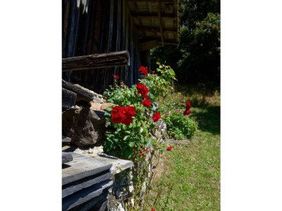 Apartment Ferienhaus, Dusche, WC, 3 Schlafräume - Outdoor photo 8