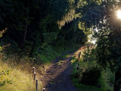 Apartment Ferienhaus, Dusche, WC, 3 Schlafräume - Outdoor photo 11