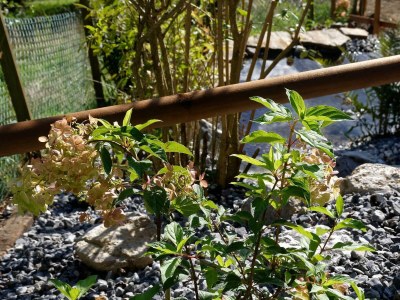 Apartment Ferienhaus, Dusche, WC, 3 Schlafräume - Outdoor photo 13