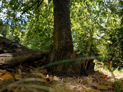 Apartment Ferienhaus, Dusche, WC, 3 Schlafräume - Outdoor photo 20