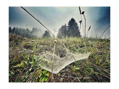 Apartment Wohnung Ulli - Outdoor photo 12