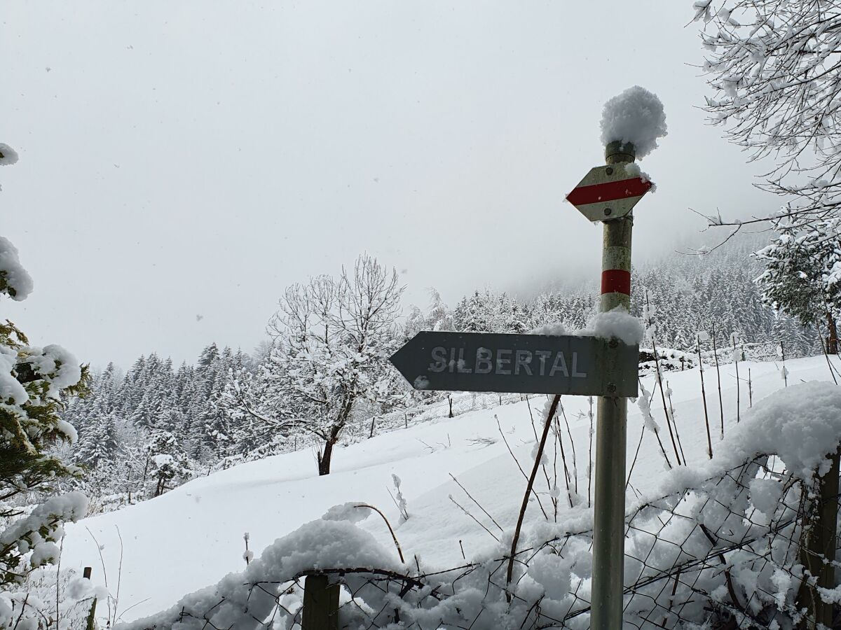 Apartment Appartement/Fewo, Dusche, WC, 3 Schlafzimmer - Outdoor photo 3