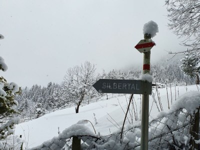 Apartment Appartement/Fewo, Dusche, WC, 3 Schlafzimmer - Outdoor photo 3