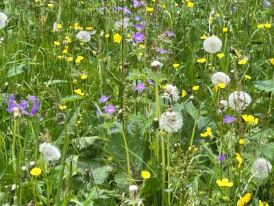 Apartment Appartement/Fewo, Dusche, WC, 3 Schlafzimmer - Outdoor photo 13