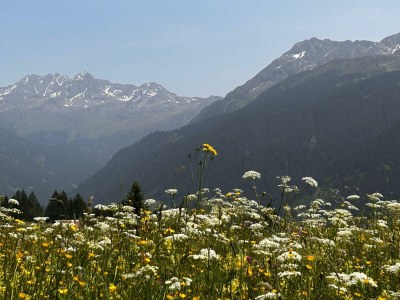 Apartment Appartement/Fewo, Dusche, WC, 3 Schlafzimmer - Outdoor photo 14