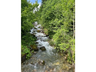 Apartment Appartement/Fewo, Dusche, WC, 3 Schlafzimmer - Outdoor photo 20