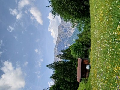 Apartment Appartement/Fewo, Dusche, WC, 3 Schlafzimmer - Outdoor photo 22