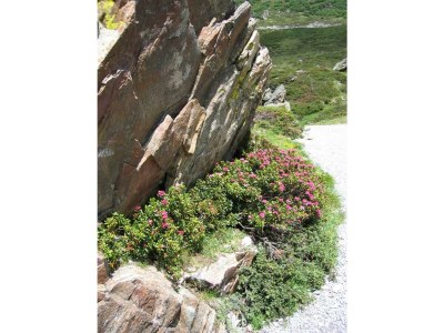 Apartment Ap. "Platzabella" 2 Schlafräume / DU/WC - Outdoor photo 35