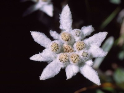 Apartment Ap. "Platzabella" 2 Schlafräume / DU/WC - Outdoor photo 56