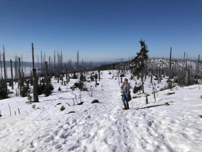 Apartment Appartement Sandra im Bayerischen Wald mit Pool - Environment photo 17