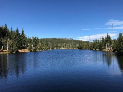 Apartment Appartement Sandra im Bayerischen Wald mit Pool - Environment photo 44