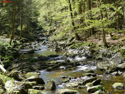 Apartment Appartement Sandra im Bayerischen Wald mit Pool - Environment photo 46