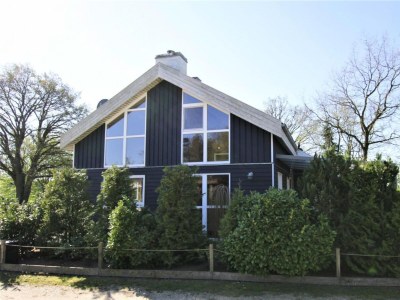 Holiday house Ferienhaus Seeidyll am Dümmer See, Dümmer in Dümmer (Mecklenburg) - Holiday house