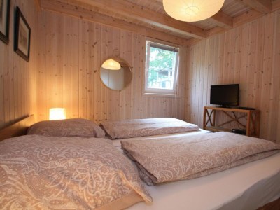 Holiday house Ferienhaus Seeidyll am Dümmer See, Dümmer - Features photo 8