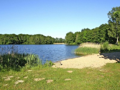 Holiday house Ferienhaus Seeidyll am Dümmer See, Dümmer - Outdoor photo 22