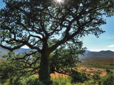 Villa Villa in Ugljane with private pool - Environment photo 31
