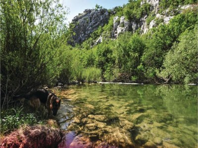 Villa Villa in Ugljane with private pool - Environment photo 35