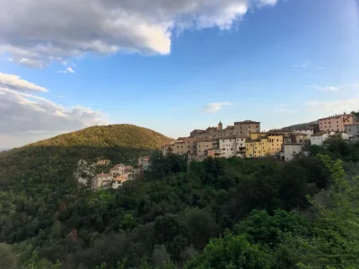 Holiday house Hillside Pool & Spa Retreat - Environment photo 36