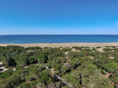 Holiday house Hillside Pool & Spa Retreat - Outdoor photo 37