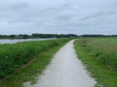 Chalet Chalet in Friesland nahe Alde Feanen Park - Environment photo 9