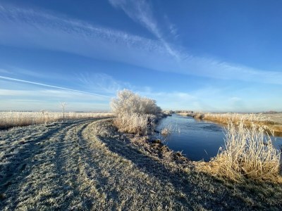 Chalet Chalet in Friesland nahe Alde Feanen Park - Environment photo 19