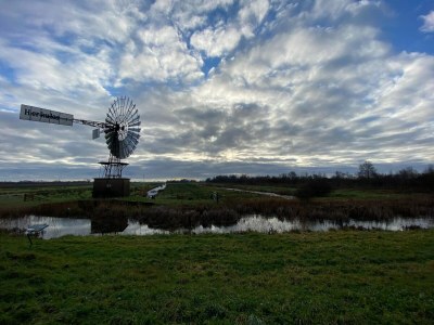 Chalet Chalet in Friesland nahe Alde Feanen Park - Outdoor photo 40