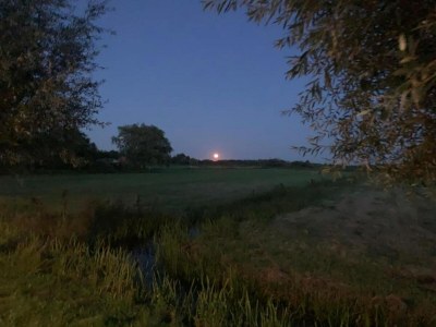 Chalet Chalet in Friesland near Alde Feanen - Environment photo 28