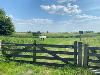 Chalet Friesland Chalet in Wassernähe - Environment photo 13