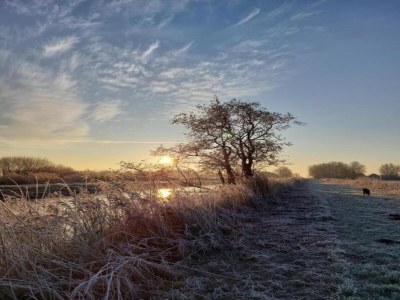 Chalet Chalet in Friesland nahe Naturgebieten - Environment photo 17
