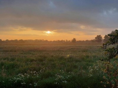 Chalet Chalet in Friesland nahe Naturgebieten - Environment photo 29