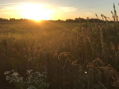 Chalet Chalet in Friesland near Alde Feanen Park - Environment photo 30