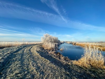 Chalet Chalet in Friesland nahe Alde Feanen - Outdoor photo 6