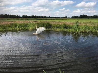 Chalet Chalet in Friesland nahe Alde Feanen - Environment photo 16
