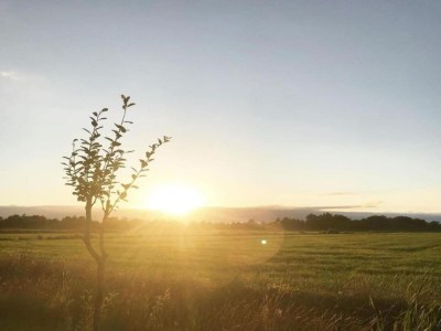 Chalet Chalet in Friesland nahe Alde Feanen - Environment photo 31