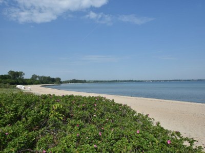 Apartment Wohnung in Beckerwitz nahe der Ostsee - Environment photo 28