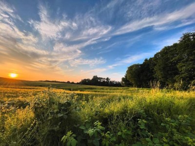 Apartment Wohnung in Beckerwitz nahe der Ostsee - Environment photo 30