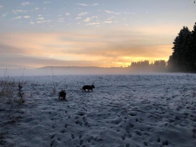 Apartment Malerischer Aufenthalt in Rauschenbach - Environment photo 27