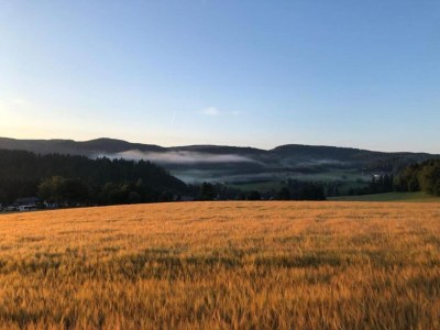Apartment Malerischer Aufenthalt in Rauschenbach - Environment photo 32
