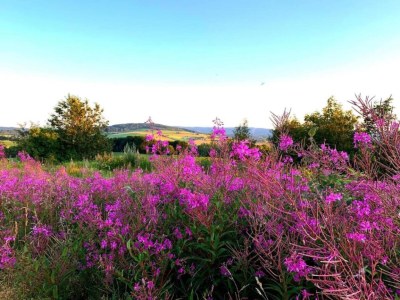 Apartment Malerischer Aufenthalt in Rauschenbach - Environment photo 35