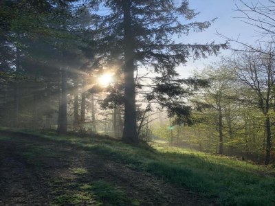 Apartment Malerischer Aufenthalt in Rauschenbach - Environment photo 36