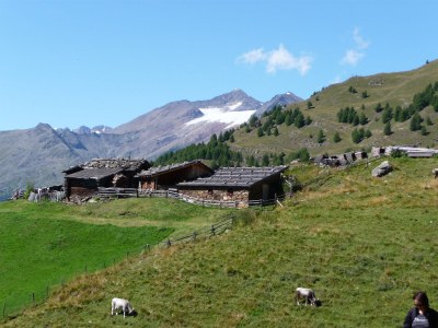 Holiday apartment Pircher - Apple Blossom - Environment photo 13