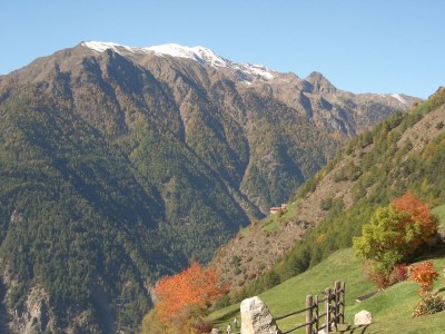 Holiday apartment Pircher - Apple Blossom - Environment photo 17