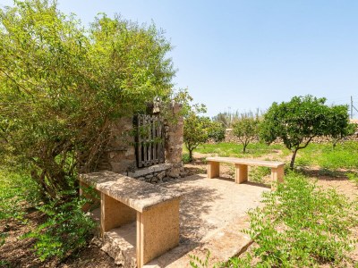 Holiday house Son Suau Vell by Mallorca House Rent - Outdoor photo 27