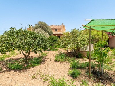 Holiday house Son Suau Vell by Mallorca House Rent - Outdoor photo 30