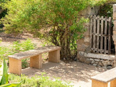 Holiday house Son Suau Vell by Mallorca House Rent - Outdoor photo 48