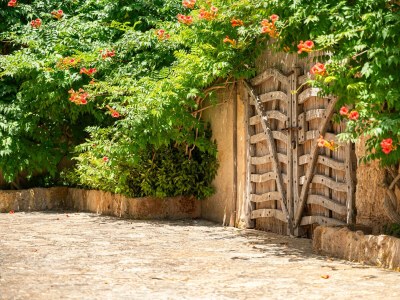 Holiday house Son Suau Vell by Mallorca House Rent - Outdoor photo 51